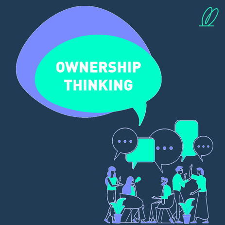 Ownership Thinking